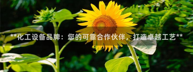 天辰娱乐的老板是谁啊