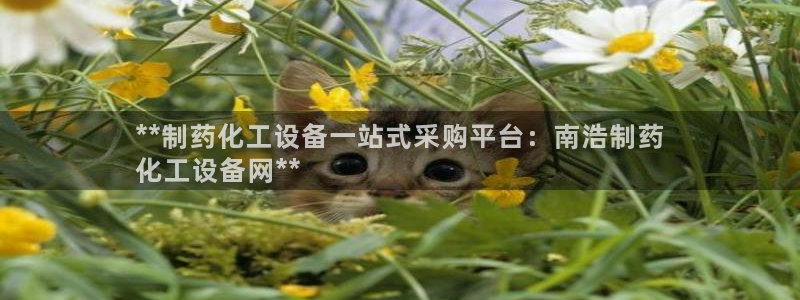 天辰平台用户注册怎么注销