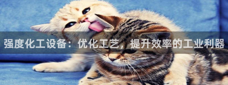 天辰平台城7O777