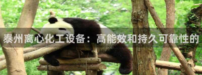 天辰平台用户登录入口在哪