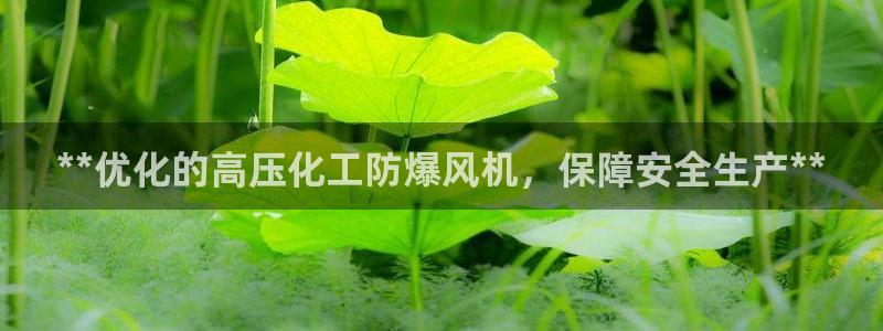 天辰测速在线登录入口