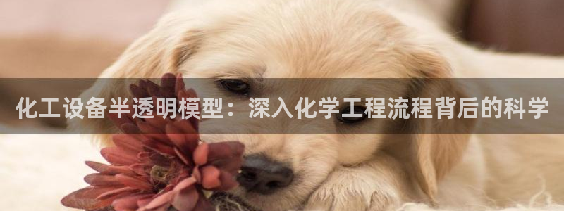 天辰会员是干什么的啊
