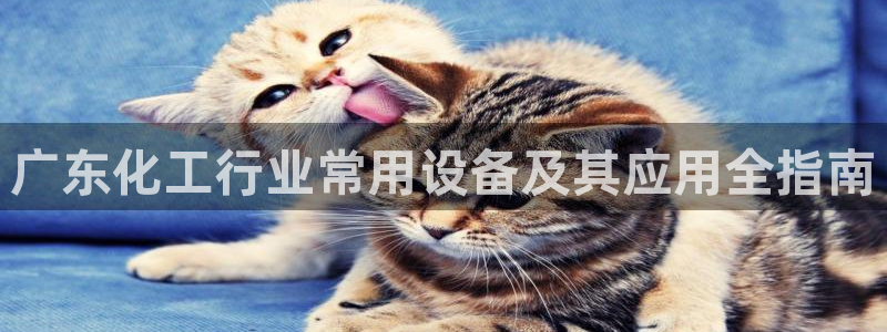 天辰娱乐都是干什么的公司