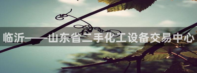 天辰平台注册登录地址在哪里改