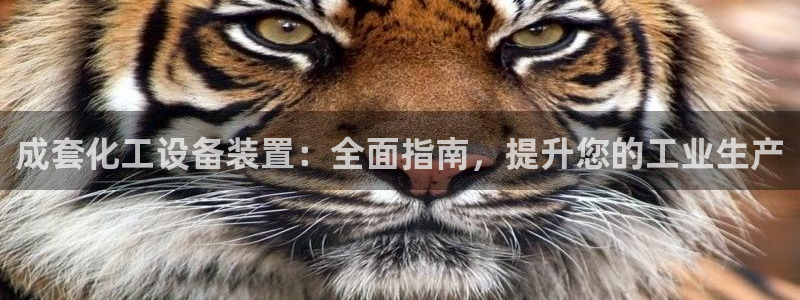 天辰测速在线登录官网