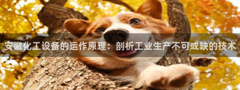 天辰平台用户登录入口在哪