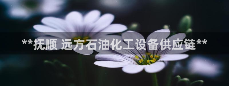 天辰平台怎么样赚钱