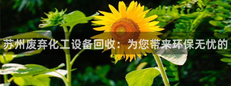 天辰测速在线登录网址