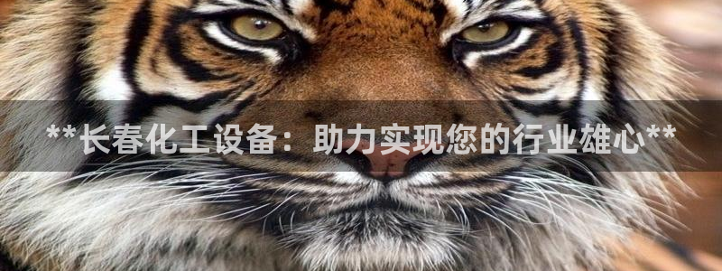 天辰平台会员多少钱一个