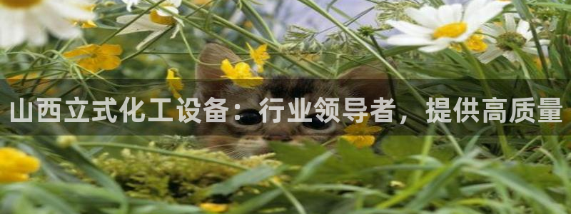 天辰娱乐都是干什么的作文