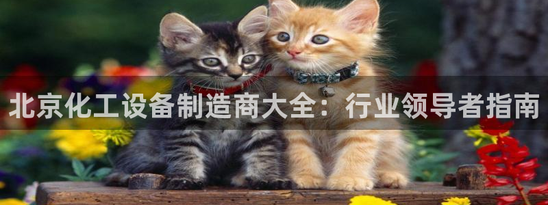 天辰平台会员多少钱一年