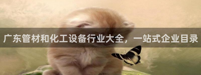 天辰娱乐都是干什么的公司