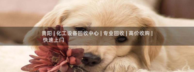 天辰平台招商1111是什么意思