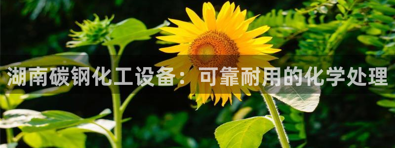 天辰平台 你的专属平台
