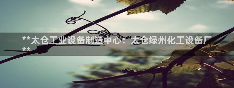 天辰平台注册地址怎么改的