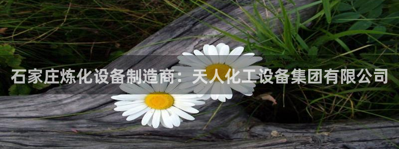 天辰平台注册登录地址在哪里看