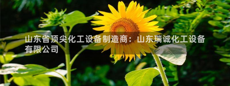 天辰测绘有限公司