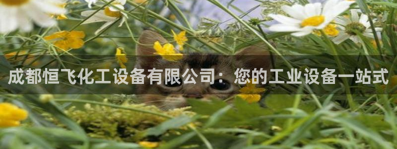 天辰娱乐的老板是谁呀