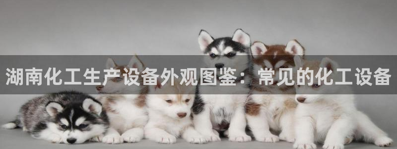 天辰会员是干什么的啊