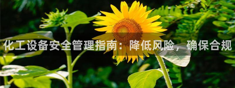 天辰娱乐app里面做任务是真的吗贴吧怎么样