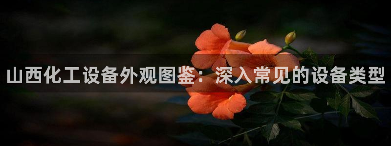 天辰平台城7O777