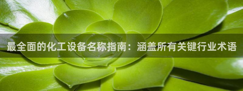 天辰平台注册地址怎么改的