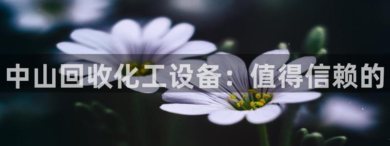 天辰平台注册登录地址怎么改啊