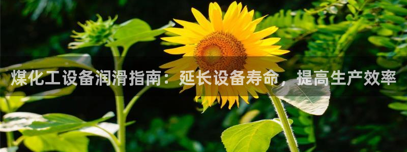 天辰注册会员多少钱