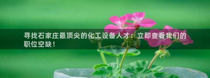 天辰娱乐都是干什么的