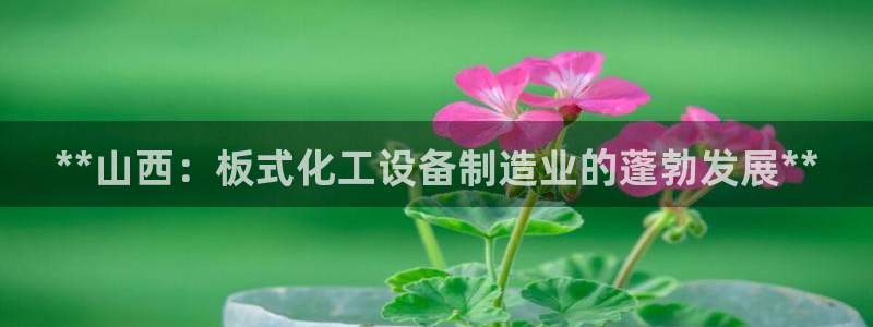 天辰会员注册链接怎么打开