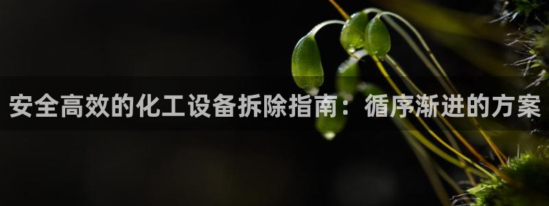 天辰平台挂机