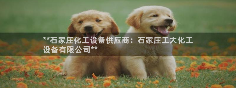 天辰团队玩彩平台是真的吗