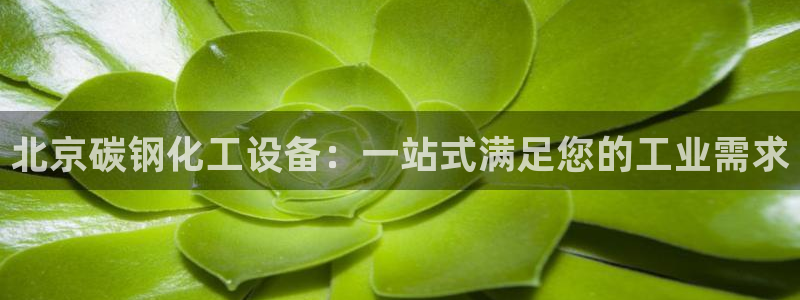 天辰平台 你的专属平台在哪里