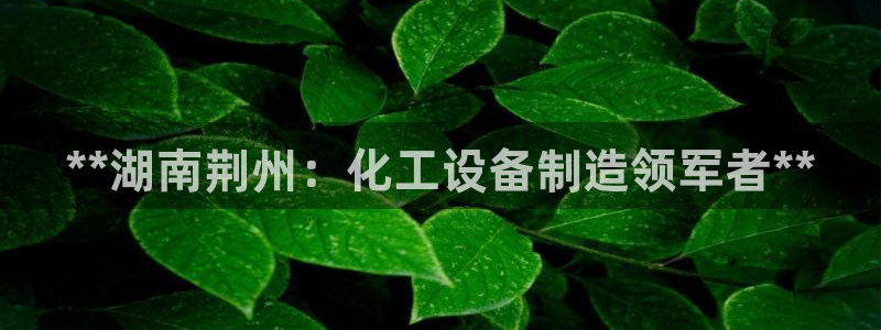 天辰建设网项目会员收费标准：**湖南荆州：化工设备