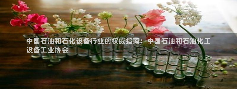 天辰平台去 58534I 平台