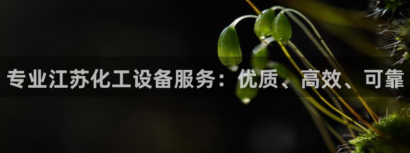 天辰平台系 411O31 天辰：专业江苏化工设备服
