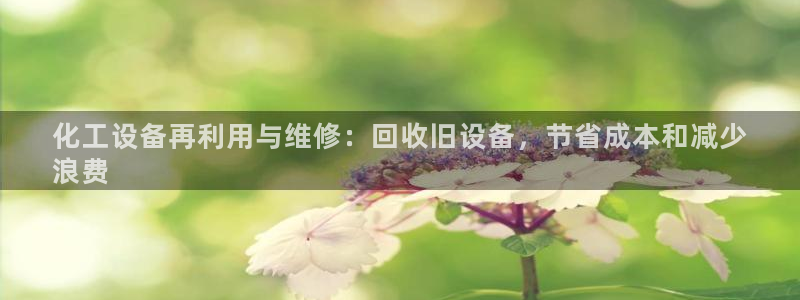 天辰平台话 411O31 平台：化工设备再利用与维