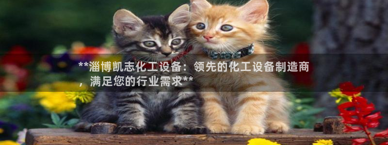 天辰平台专用通道安全稳定