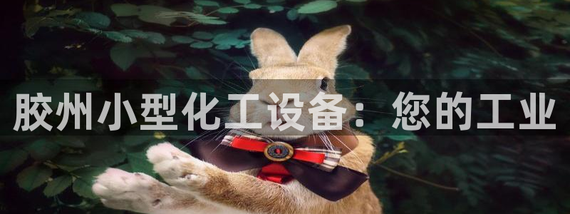 天辰平台登录地址在哪里：胶州小型化工设备：您的工业