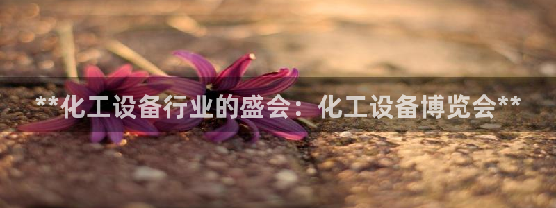 天辰平台用户：**化工设备行业的盛会：化工设备博览