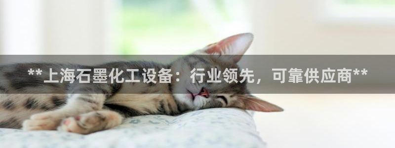 天辰娱乐厅破解规律：**上海石墨化工设备：行业领先