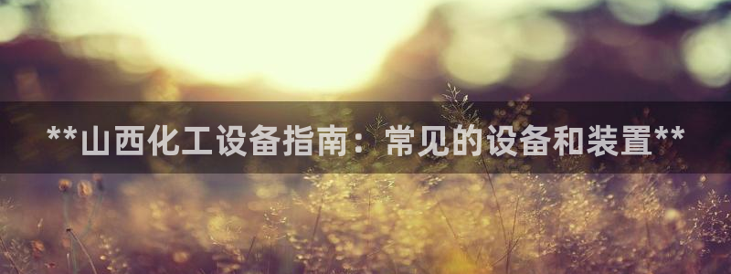 天辰平台用户注册流程：**山西化工设备指南：常见的设备和装置