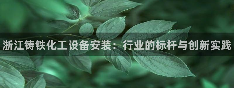 天辰平台话 411O31 平台：浙江铸铁化工设备安装：行业的