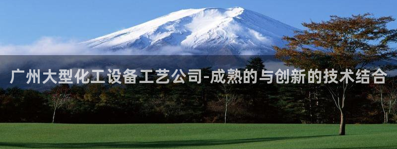 天辰注册链接怎么打开：广州大型化工设备工艺公司-成