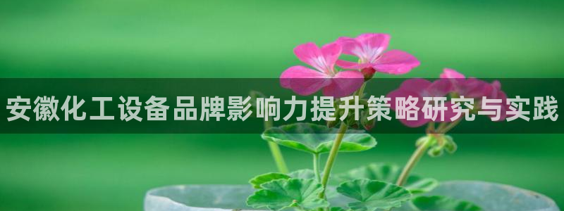 天辰平台会员有什么用