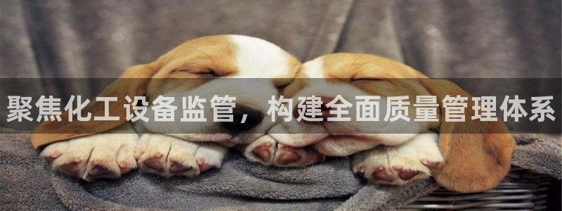 天辰注册链接是什么：聚焦化工设备监管，构建全面质量