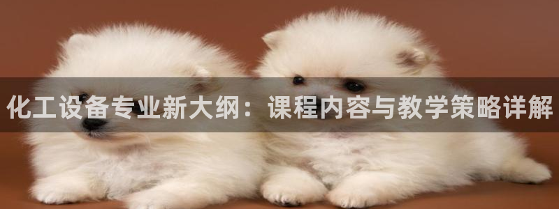 天辰娱乐平台用户评价与反馈：化工设备专业新大纲：课