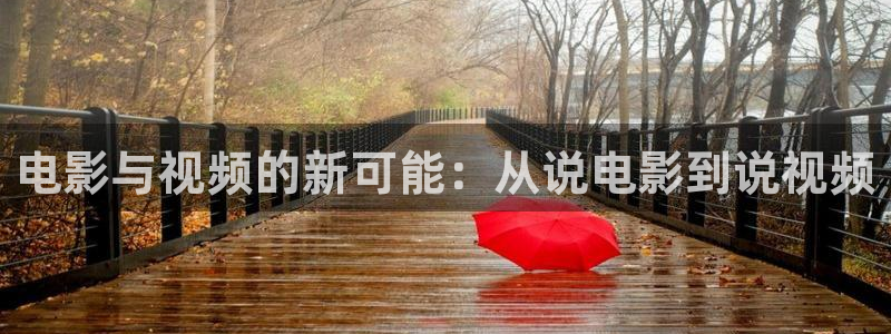 综合狼人影院：电影与视频的新可能：从说电影到说视频