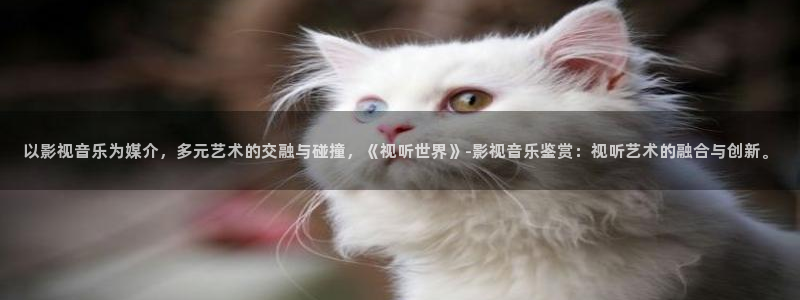 捕狼人生电影免费观看：以影视音乐为媒介，多元艺术的交融与碰撞，《视听世界》-影视音乐鉴赏：视听艺术的融合与创新。