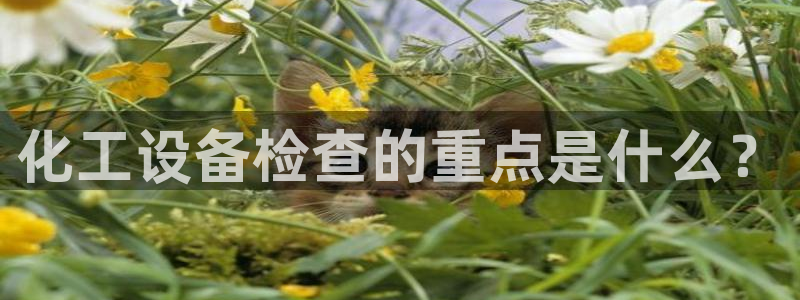 天辰平台招商1111是什么